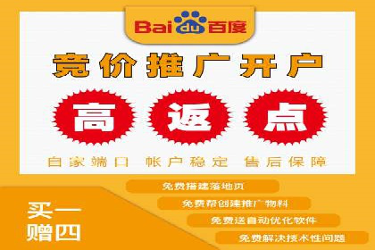 成功案例解析：SEM竞价员策略